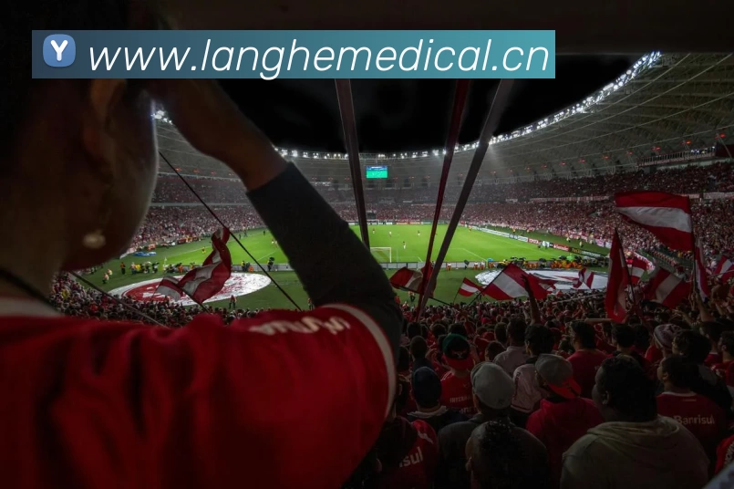 爱游戏ayx官网app服务体系